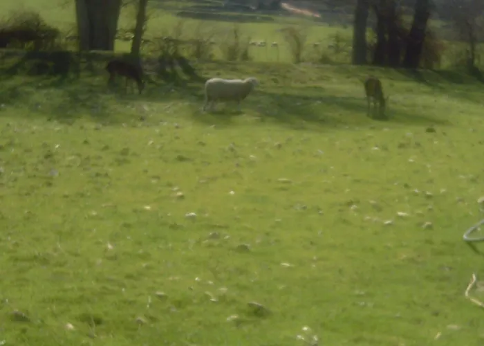 Hostal Rural Venta La Vega